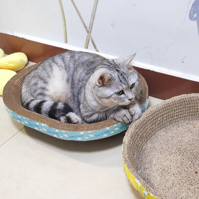 猫抓板