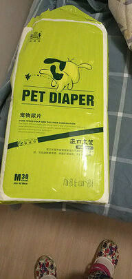 宠物尿垫