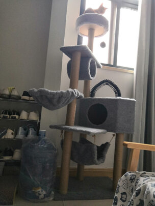 猫爬架