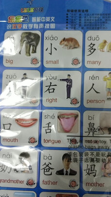 乐乐鱼5张组合套装 人物篇、动物篇、拼音篇、蔬菜水果篇、认数字篇质量诉说体验后讲一讲感受