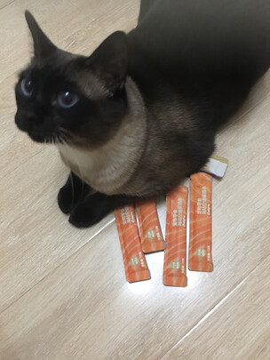 猫条猫零食