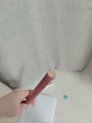 鸟笼