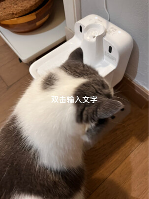 宠物饮水机