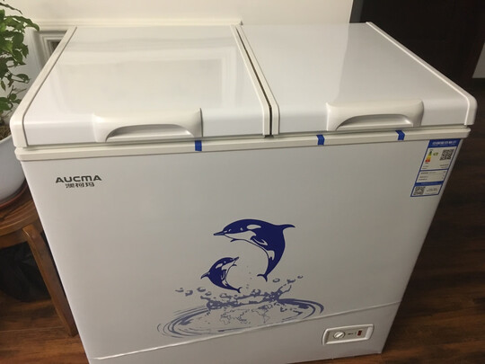 一:选购荣事达(royalstar)商用冰柜建议