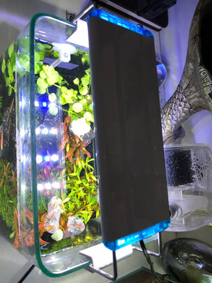 鱼缸灯led灯