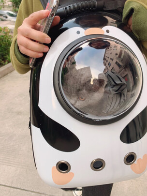 猫包