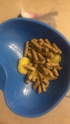 兔粮提摩西草