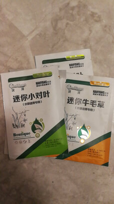 水草种子