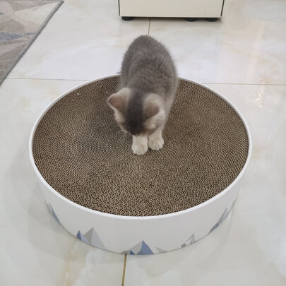 猫窝