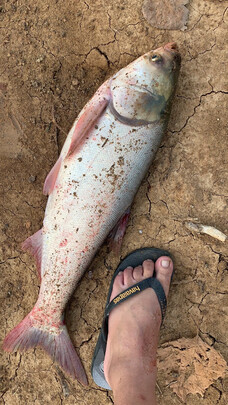 北溟鱼海竿怎么样