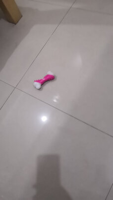 狗狗玩具
