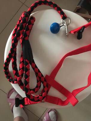 狗狗牵引绳