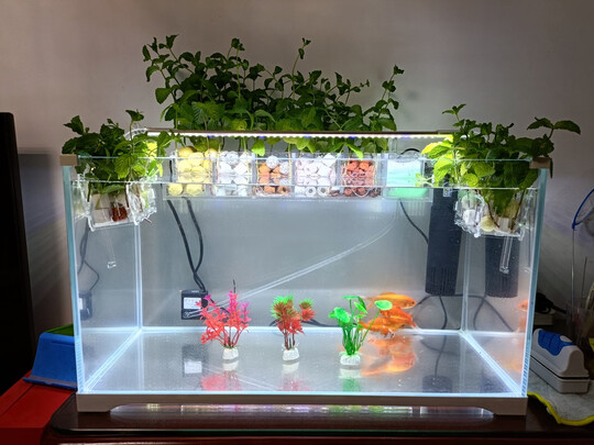 鱼缸灯led灯