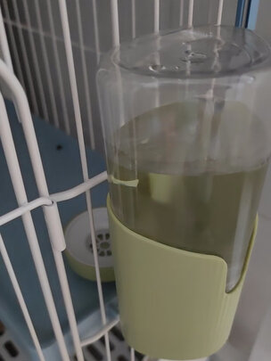 宠物自动饮水器
