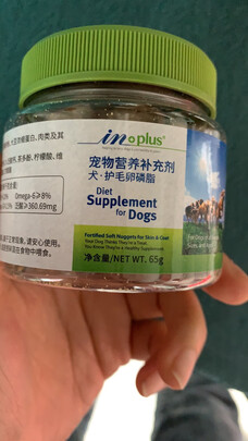 猫项圈
