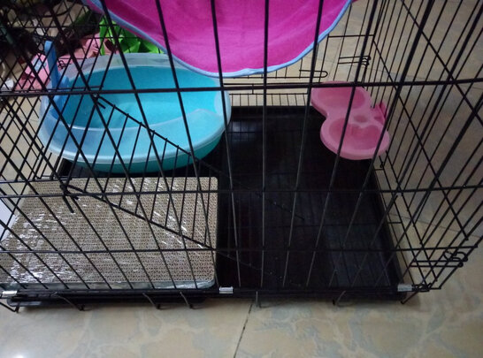 猫笼