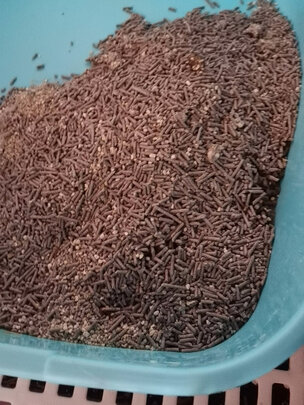 膨润土猫砂