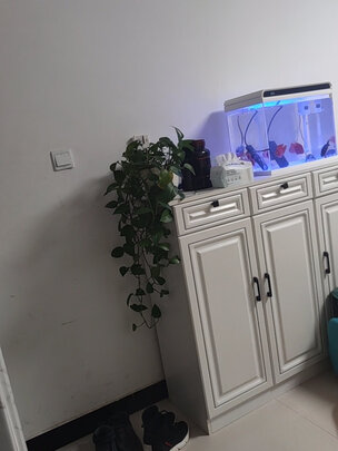 鱼缸造景石头