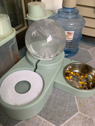 宠物饮水机