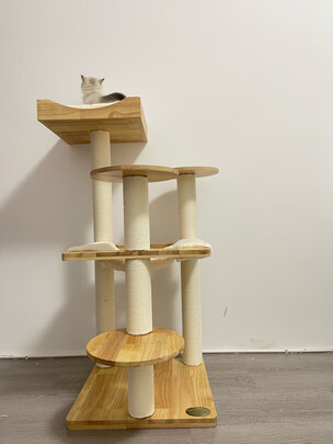 猫爬架