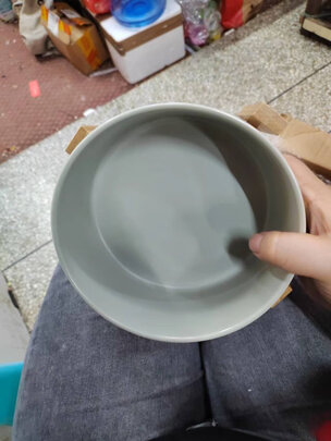 猫碗狗碗