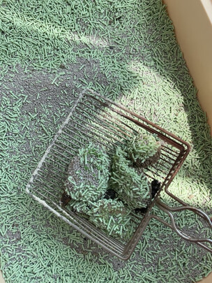 膨润土猫砂