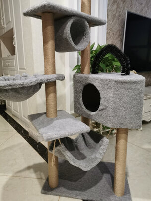 猫爬架