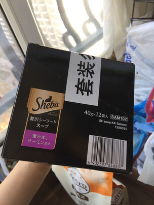 猫罐头