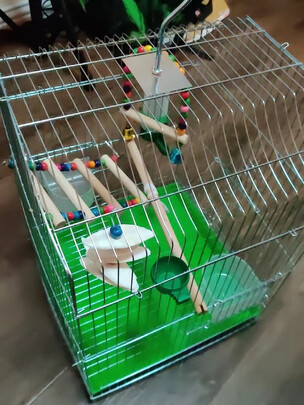 鸟笼