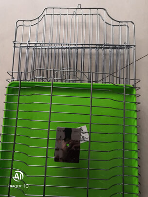 鸟笼