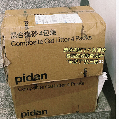 猫砂