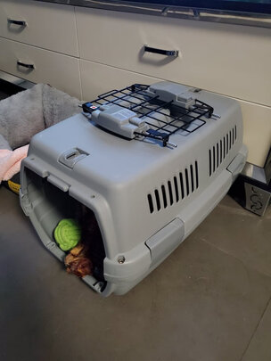 宠物航空箱