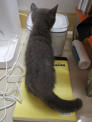 宠物饮水机