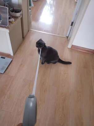 狗狗牵引绳