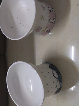 猫碗狗碗