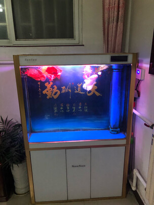 鱼粮