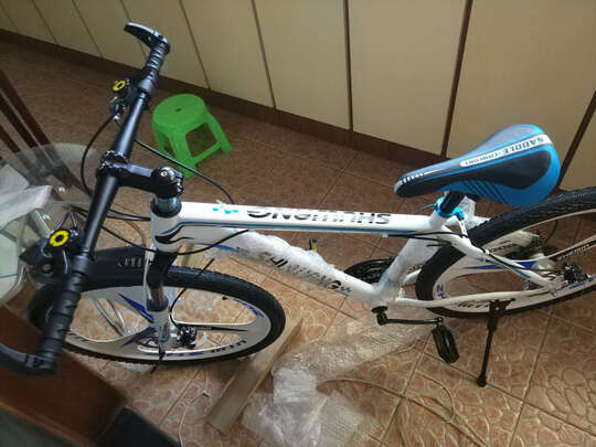 鼠王自行车怎么样