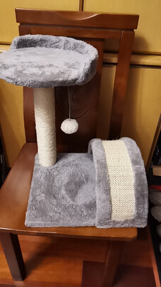 猫爬架