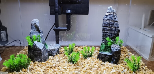 鱼缸雨花石