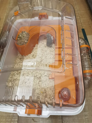 仓鼠笼子