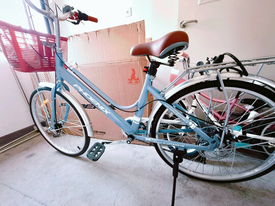 城市自行车