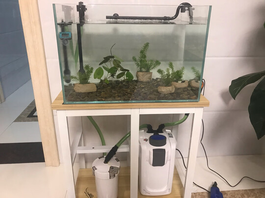 鱼缸硝化细菌