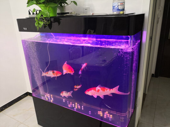 鱼缸清洁盐