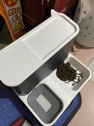 宠物自动喂食器