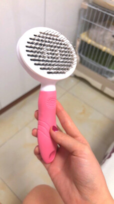 猫狗梳子