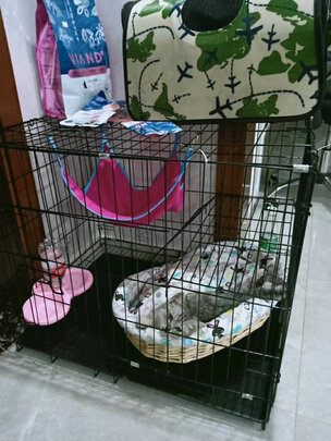  猫笼