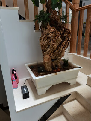 汽车应急启动电源