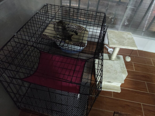  猫笼