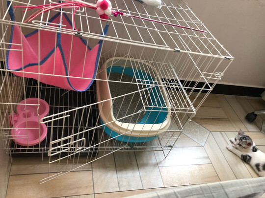  猫笼
