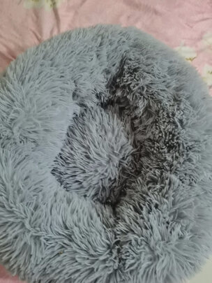 猫窝